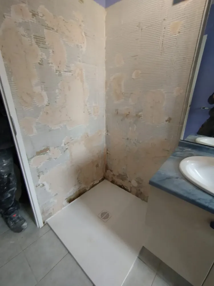 changement de douche -  Avant (1)